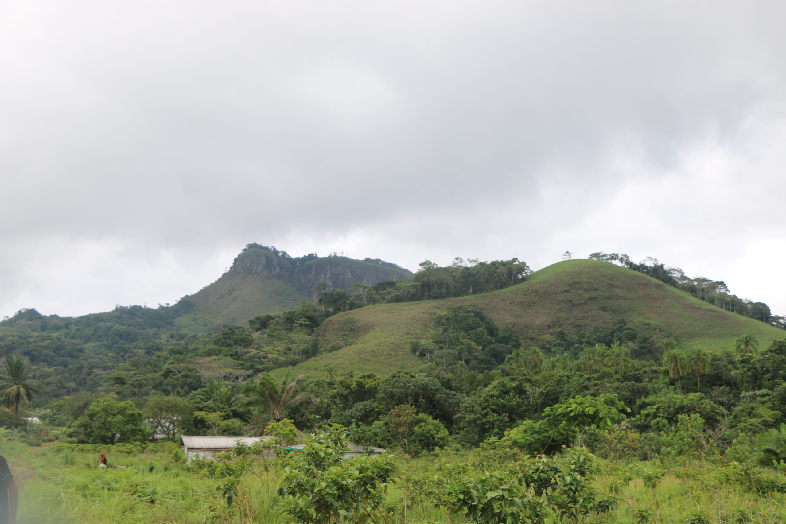 Bayang Mbo%20Wildlife%20Sanctuary