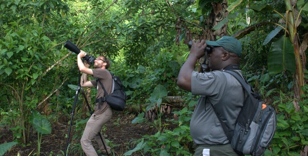 Bayang Mbo%20Wildlife%20Sanctuary