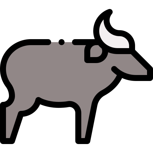 Bayang Mbo%20Wildlife%20Sanctuary